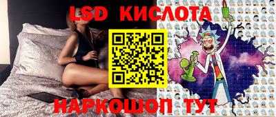 СК Гатчина