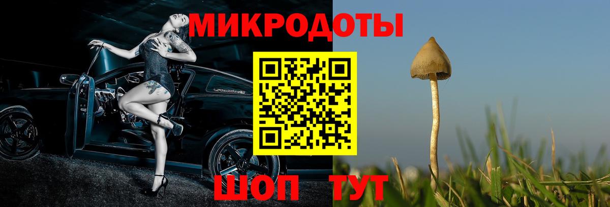 Галлюциногенные грибы Psilocybine cubensis  Вход с VPN  Бор 
